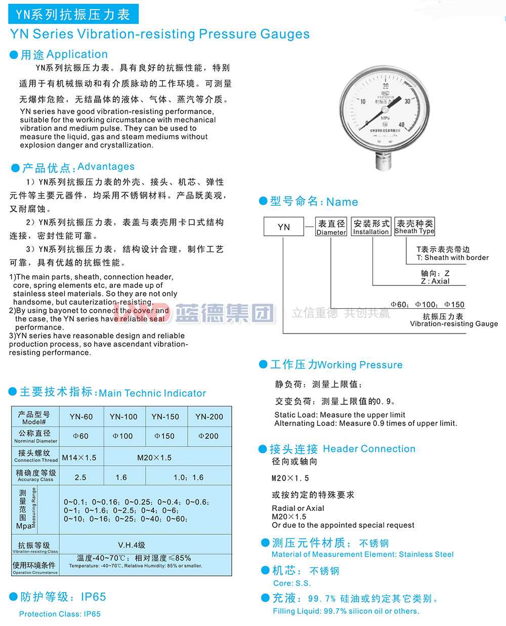 YN系列抗振壓力表1.jpg